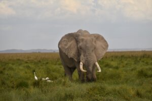 Picture of John Nyamu